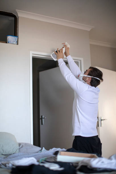 Best Mold Prevention Services  in Balcones Heights, TX