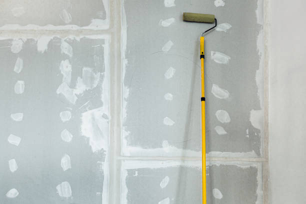 Best Forensic Mold Investigation  in Balcones Heights, TX