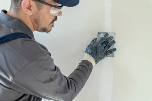 Reliable Balcones Heights, TX Mold Removal Solutions