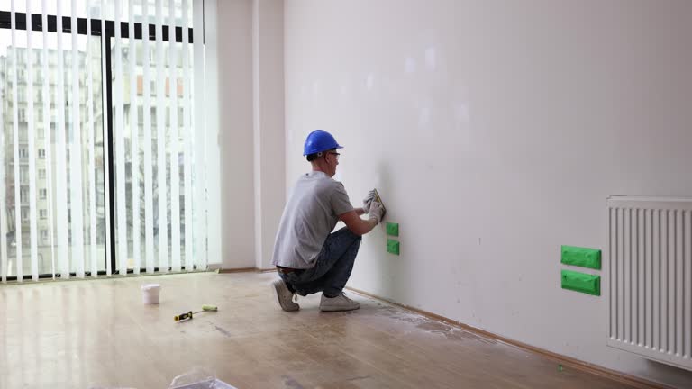 Best Basement Mold Removal  in Balcones Heights, TX